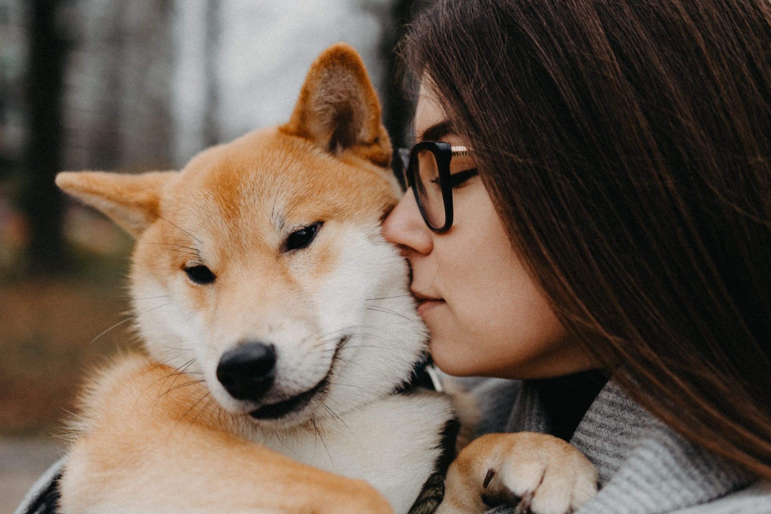 Cómo mi perro sabe que estoy triste: Descubre la conexión emocional entre tú y tu mascota
